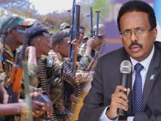 Farmaajo oo boggaadiyay ciidanka Danab iyo kuwa maamulka Jubbaland
