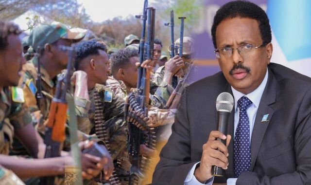 Farmaajo oo boggaadiyay ciidanka Danab iyo kuwa maamulka Jubbaland