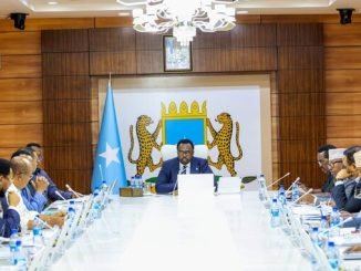 Dowladda Soomaaliya oo joojisay dhammaan heshiisyadii ay la gashay Imaaraadka Carabta