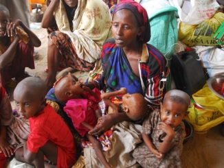 Sharp rise in malnutrition cases, preventable diseases in Somalia: MSF