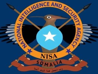 Hay'adda Sirdoonka iyo Nabad-sugidda Qaranka Soomaaliya (NISA)