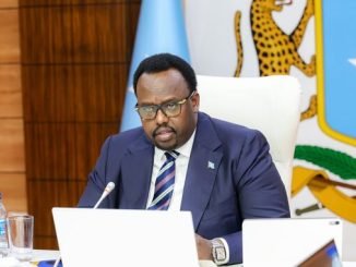 Ra'iisul wasaare ku-xigeenka xukuumadda federaalka Soomaaliya, Saalax Axmed Jaamac