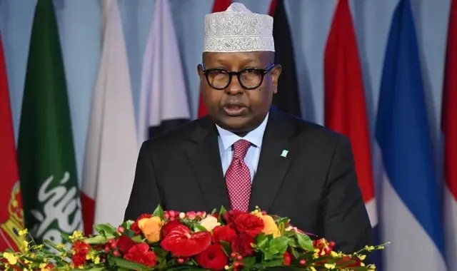 Somali defence minister says Israel plans to expel Gaza Palestinians to Somaliland