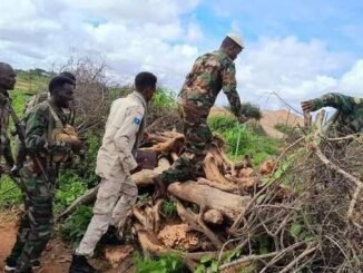 Ciidamada xooga iyo AUSSOM oo la wareegay deegaanada Daarusalaam iyo Mubaarak