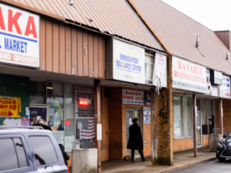 Somali Americans hounded by ICE and rightwing 'influencers' on edge in Ohio: 'I am scared to go outside'