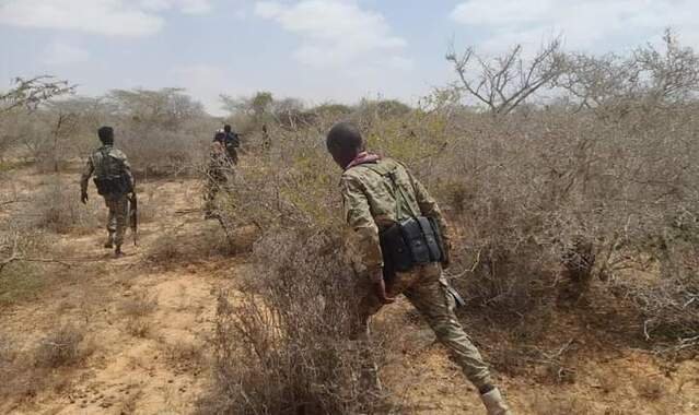 Ciidamo kasoo horjeeda maamulka C/casiis Lafta-gareen oo la wareegay degmada Qansax-dheere