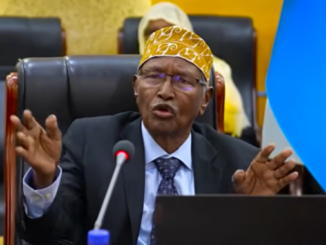 C/raxmaan Faroole oo ka digay wax ka beddelka Dastuurka Soomaaliya
