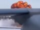 US Warplanes Crash in Kuwait After Being Mistakenly Targeted by Air Defenses