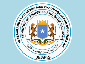 Wasaaradda Kalluumeysiga iyo Dhaqaalaha Buluugga ah ee Jamhuuriyadda Federaalka Soomaaliya