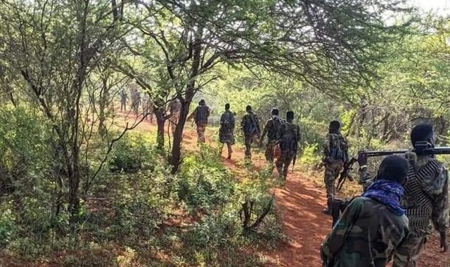 Ciidanka qaranka oo hawlgal ka fuliyay gobolka Baay
