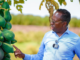 Somalia must produce what it consumes, end aid culture: agriculture minister
