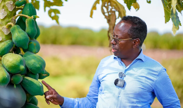 Somalia must produce what it consumes, end aid culture: agriculture minister