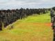 Maamulka Jubaland oo duleedka degmada Beled-Xaawo kusoo bandhigay ciidamo cusub