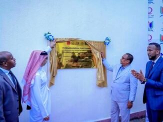 Guddoomiyaha gobolka Banaadir oo xarigga ka jaray xarun lagu keydiyo daawooyinka