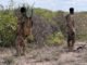 Ciidamada Danab oo burburiyay fariisimo Al-shabaab ku lahayd gobolka Baay