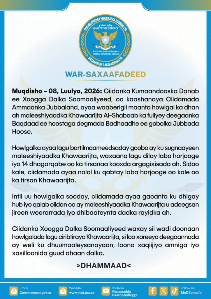 Wasiirka gaashaandhiga ee xukuumadda federaalka Soomaaliya Axmed Macalin Fiqi